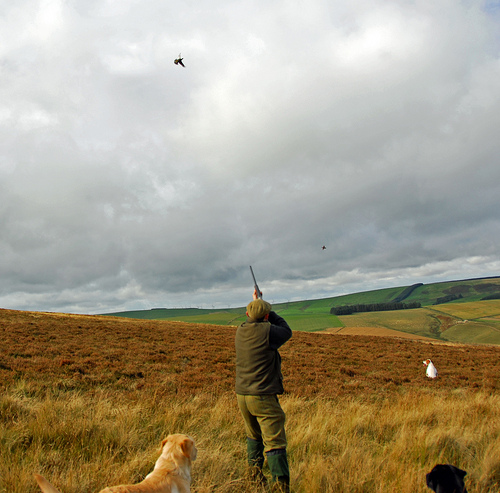 Photo by FieldsportsChannel